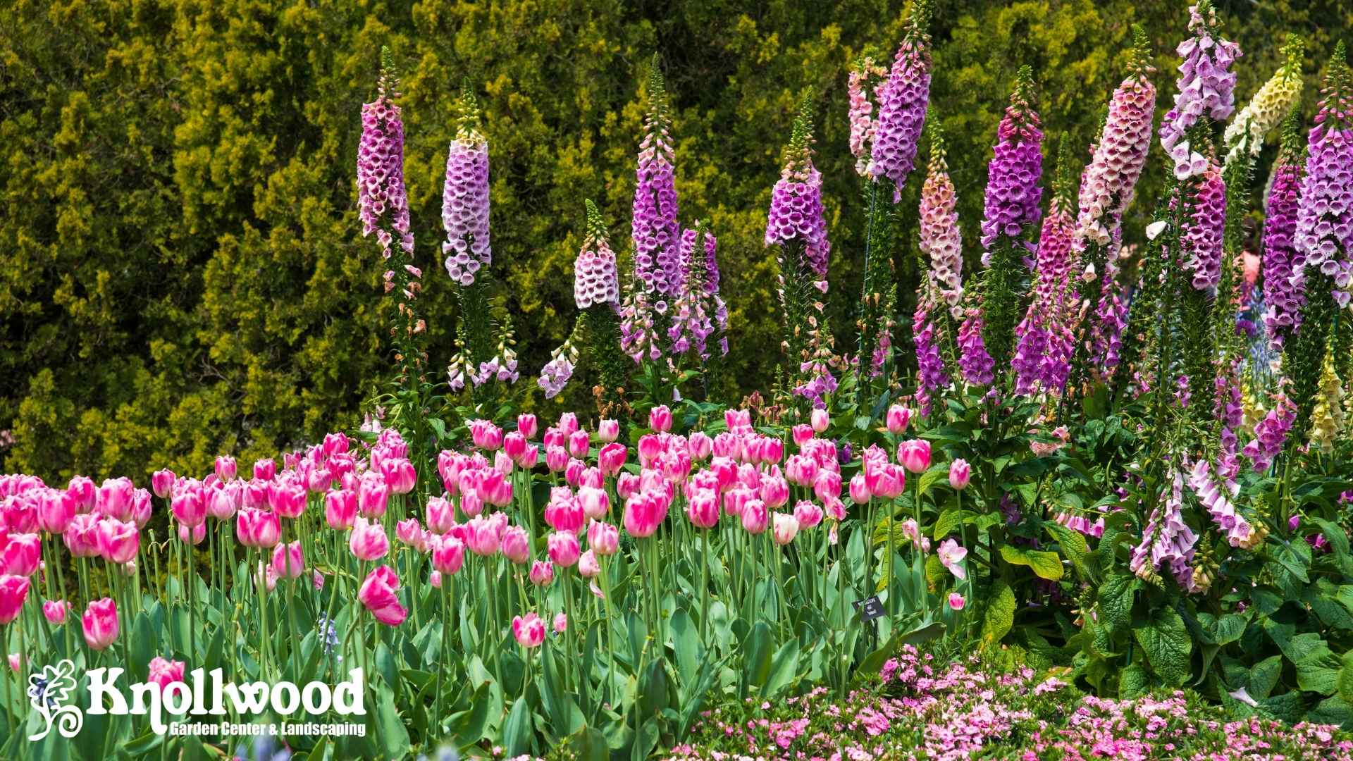 How to Design Your Dream Garden: Which Garden Style Is Right for You?